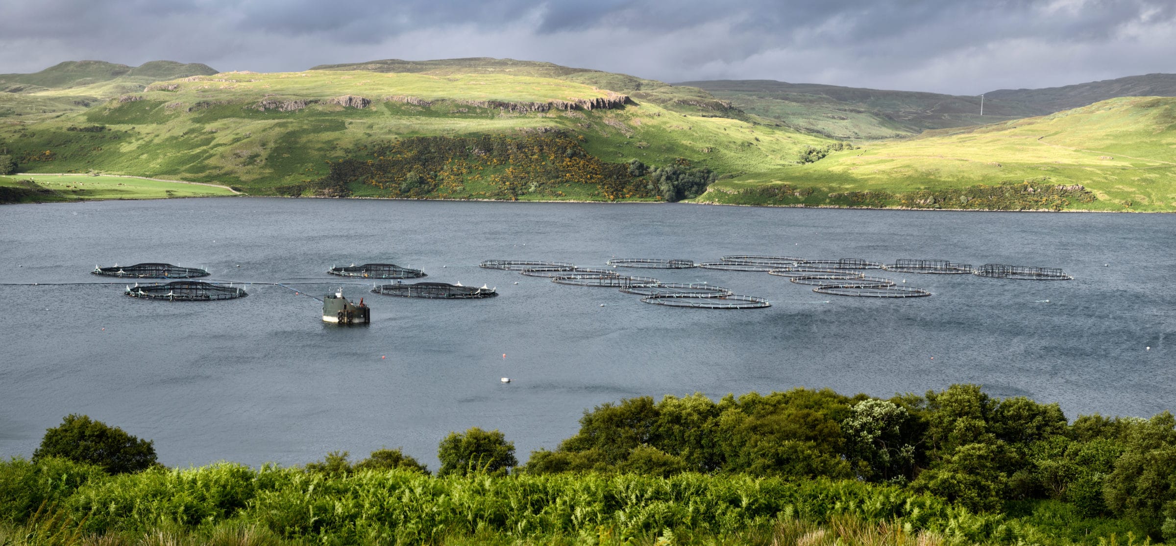 Panorama,Of,Salmon,Fish,Farm,Net,Pens,On,Loch,Harport